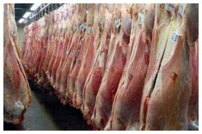  قیمت جدید دام‌زنده/ گوشت گوسفندی وارداتی منجمد چند؟