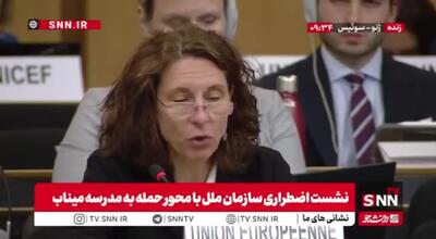  نماینده اتحادیه اروپا در سازمان ملل: برای از دست دادن جان کودکان میناب متاسف هستیم + فیلم