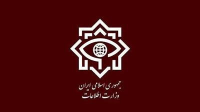  وزارت اطلاعات: شناسایی و بازداشت ۴۶ مزدور دشمن آمریکایی و اسرائیلی در پنج استان ایران