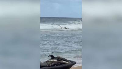  رسانه: در پی سقوط یک بالگرد گردشگری در هاوایی، سه نفر کشته و دو نفر زخمی شدند