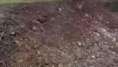  رسانه‌های لبنانی: حملات هوایی اسرائیل به شهرک‌های کفر رمان، المنصوری و حبوش در جنوب لبنان