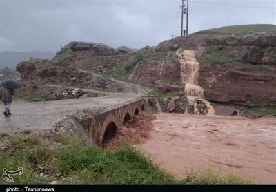  آسیب سیل به مزارع پلدختر/ اعزام ارزیاب‌های بیمه برای ثبت خسارت - تسنیم