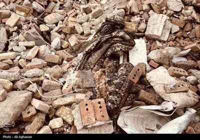  روایت خبرنگار از حمله آمریکایی - صهیونیستی به محله سهروردی