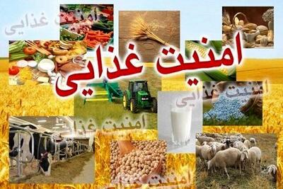  امسال گندم کیفی در کشور تولید می شود