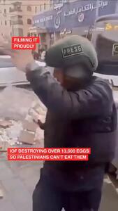 ارتش اسرائیل در جریان حمله به اردوگاه شعفاط در اورشلیم اشغالی بیش از ۱۳۰۰۰ تخم مرغ را نابود کرد + فیلم
