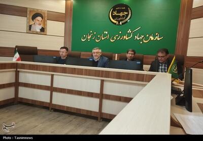  حمایت از تولیدکنندگان و تقویت امنیت غذایی در جهاد کشاورزی زنجان - تسنیم