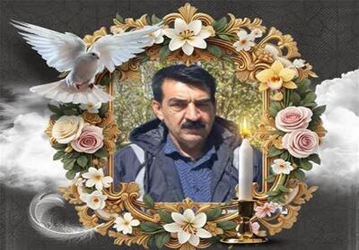  سبزبان شیرازی به کاروان شهدا پیوست - تسنیم