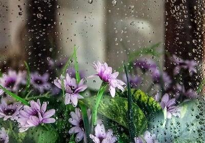  رگبار و تندباد به نیمه شمالی فارس می‌رسد - تسنیم