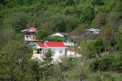  مساله جنگ و هجوم به ریه‌های سبز ایران/ آیا جنگ عامل تازه جنگل‌خواری خواهد شد؟