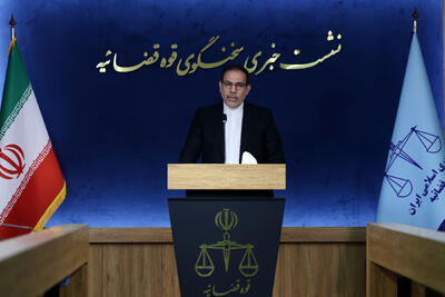  تحلیل سخنگوی قوه قضائیه از چگونگی ابطال نقشه شیطانی دشمن توسط مردم