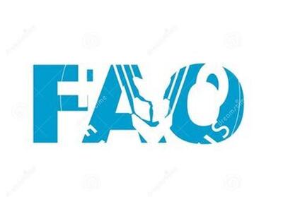  هشدار فائو درباره تبعات جهانی جنگ در خلیج فارس/ افزایش فشار بر مصرف‌کنندگان