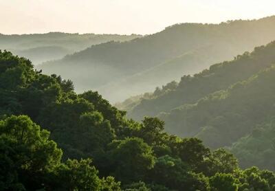  برخورد قانونی با هرگونه تخلف در عرصه‌های طبیعی؛ از روشن کردن آتش خودداری کنید