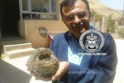  اطلاعات جدید گروه هکری به نهادهای امنیتی ایران