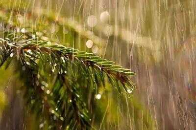  بارش باران و برف گسترده در همه استان‌ها