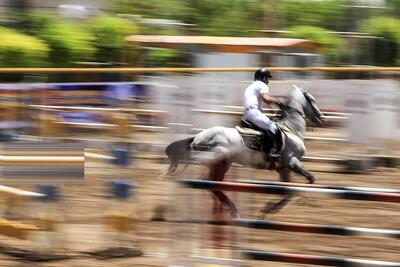  مستند حیات وحش؛ اسب چموش طوری مرد بیچاره رو زد زمین که طرف نفهمید از کجا خورد