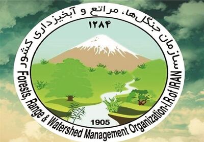  شهادت فرمانده یگان حفاظت منابع طبیعی کشور - تسنیم