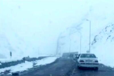 ویدئویی حال‌خوب‌کُن از بارش برف در جاده چالوس