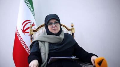  سخنگوی دولت ایران: فارغ از این که نتیجه‌ی این تحقیقات چه خواهد بود مکلفیم