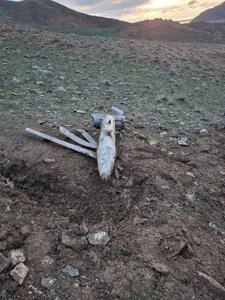  عکس: یک غنیمت جنگی شیرین!