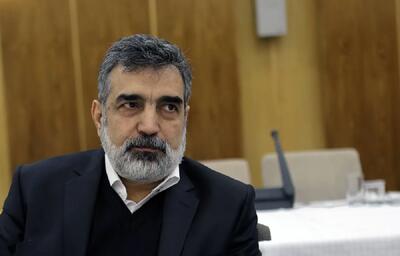  سخنگوی سازمان انرژی اتمی: حمله به تاسیسات هسته‌ای جنایت جنگی است