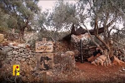  آژیر خطر حمله پهپادی در شمال فلسطین اشغالی/ ضربات مهلک مقاومت به اشغالگران ادامه دارد