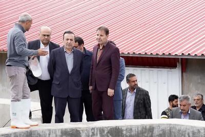  تأکید استاندار قزوین بر تقویت ظرفیت‌های آبزی‌پروری الموت شرقی