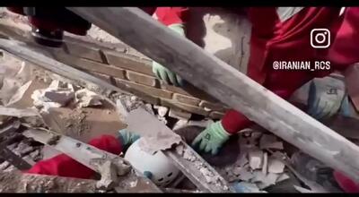  نجات گربه از زیر آوارِ بمبارانِ دشمن  توسط امدادگران هلال‌احمر + فیلم