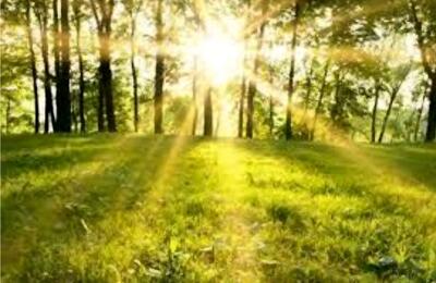  هوای مازندران تا شنبه پایدار می‌ماند؛ از عصر شنبه رگبارهای پراکنده آغاز می‌شود