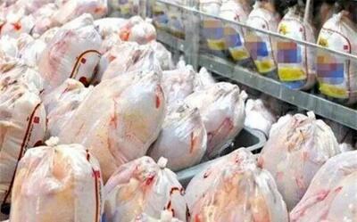  توزیع بیش از 330 تن گوشت مرغ در هرمزگان