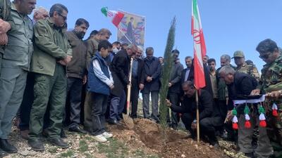  پویش «سرو ایران» در کهگیلویه و بویراحمد با کاشت ۶۰۰ نهال