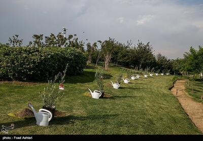  یادبود دانش‌آموزان میناب در پویش سبز لرستان/ یک میلیون نهال کشت می‌شود - تسنیم