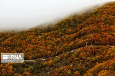 برق جاده چالوس قطع شد