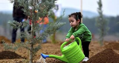  22 بوستان‌ منتخب تهران برای کاشت رایگان نهال+ اسامی