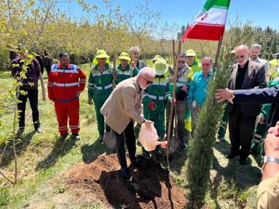  اجرای طرح کاشت ۷۰۰ هزار اصله درخت در شیراز