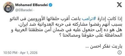  البرادعی: ترامپ ما (اعراب) را رها می‌کند؟
