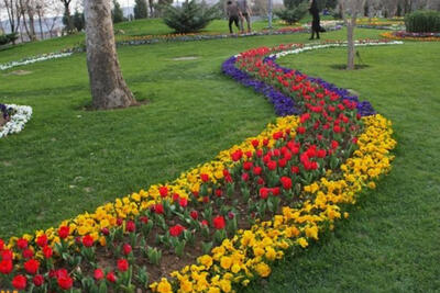  تمرکز شهرداری تهران بر جبران عقب ماندگی‌های فضای سبز