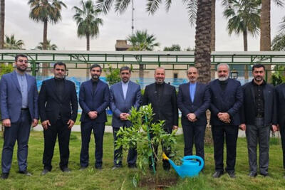  کاشت نهال در سفارت ایران در عراق
