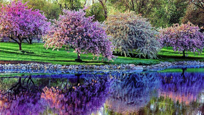  تفسیر فال حافظ مخصوص سیزده بدر 1405