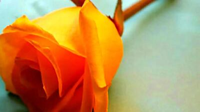  فال و طالع بینی روزانه 13 فروردین 1405