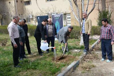  اجرای فرمایش رهبر انقلاب در روز طبیعت / کاشت نهال در بوستان‌های تهران+فیلم