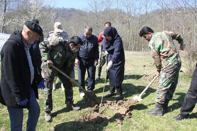  گزارش خبرنگار SNNTV از کاشت نهال توسط مردم تهران به نیت شهدای جنگ تحمیلی سوم + فیلم