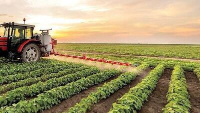  بالغ بر ۲۷۰ میلیون دلار محصولات کشاورزی و صنعتی از استان اردبیل صادر می‌شود