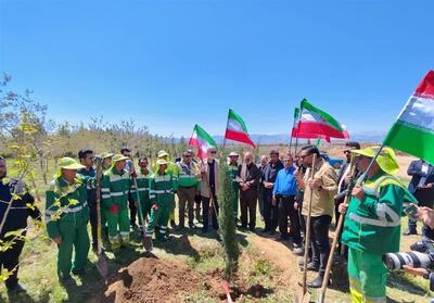  اهتزاز پرچم رویش در پایتخت فرهنگی ایران - تسنیم