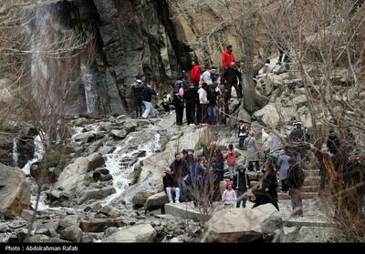  استقبال خوب شهروندان همدانی از طرح کاشت درخت - تسنیم