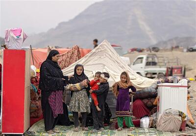 طالبان: بیش از 27 هزار خانواده در پی حملات پاکستان آواره شده‌اند - تسنیم