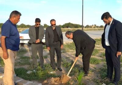  کاشت درخت امید در بوشهر به یاد شهدای ایران - تسنیم