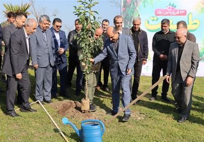  سهم استان گیلان از طرح ملی «یک میلیارد نهال» محقق شد - تسنیم
