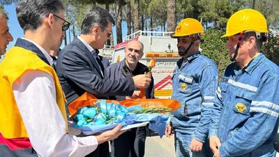  سرپرست شرکت توانیر از نیرو‌های عملیاتی صنعت برق کشور قدردانی کرد