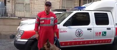 لئو؛ سگی که از ابتدای جنگ ۸ نفر را نجات داد