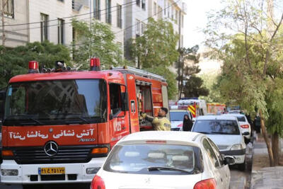  نجات دو جان با دست‌های خالی آتش نشانان